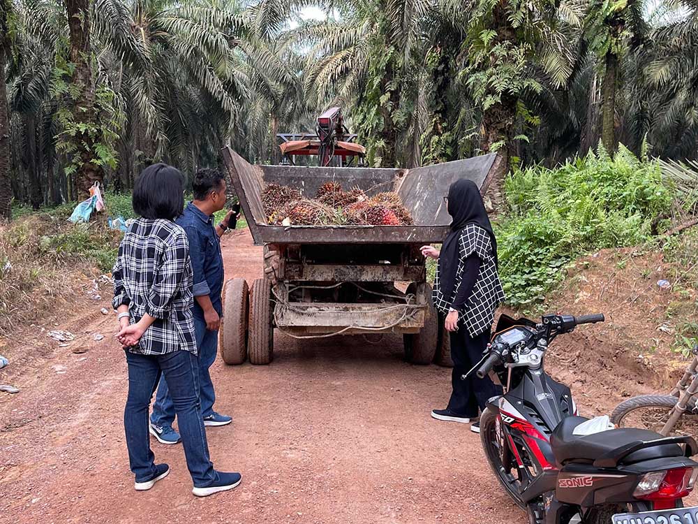 Assessing child rights risks on a palm oil plantation in Indonesia